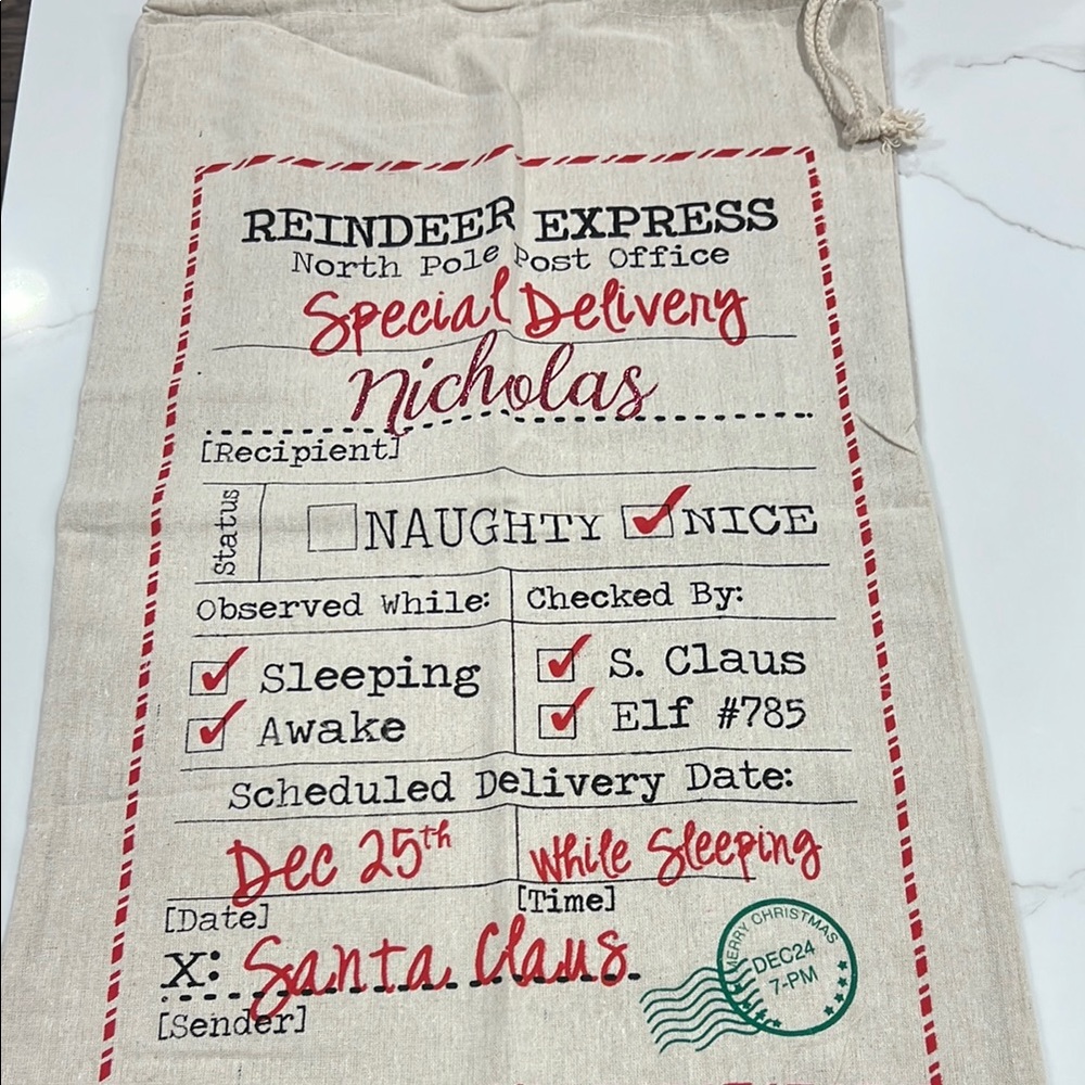 Special Delivery Santa Sack